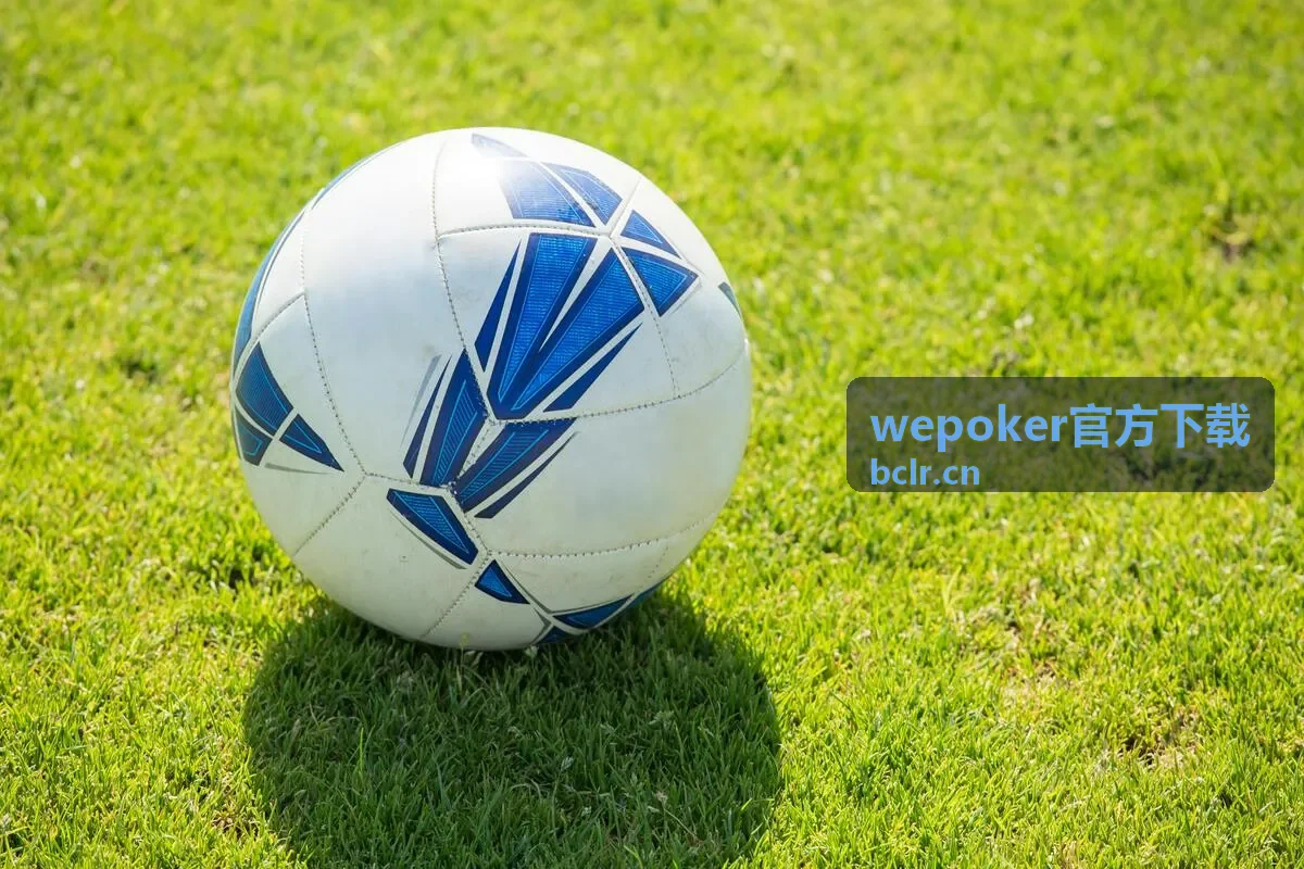 wepoker官方下载术语对照速查专题封面